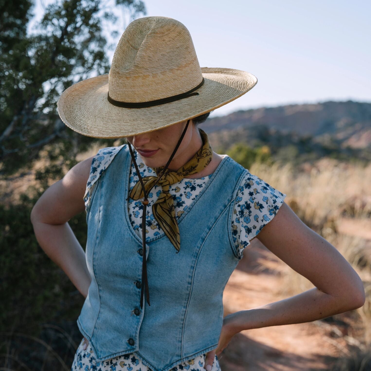Bryce Straw Hat